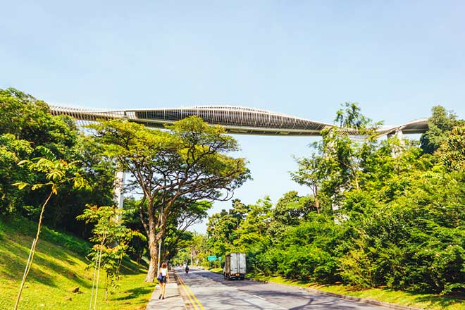 Henderson Waves Bridge