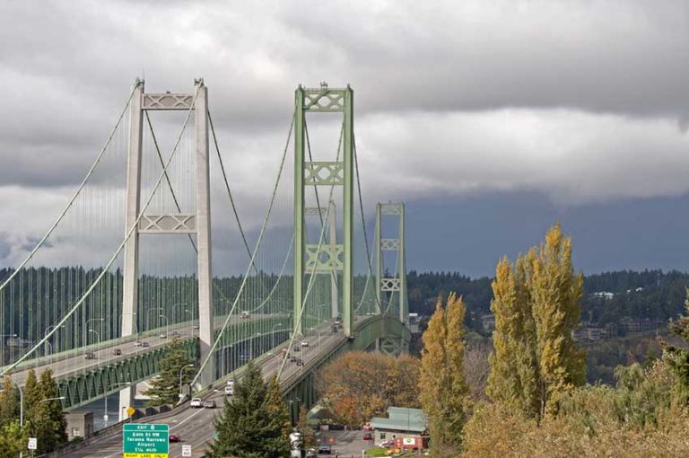 Aeroelastic Flutter And The Collapse Of The Tacoma Narrows Bridge